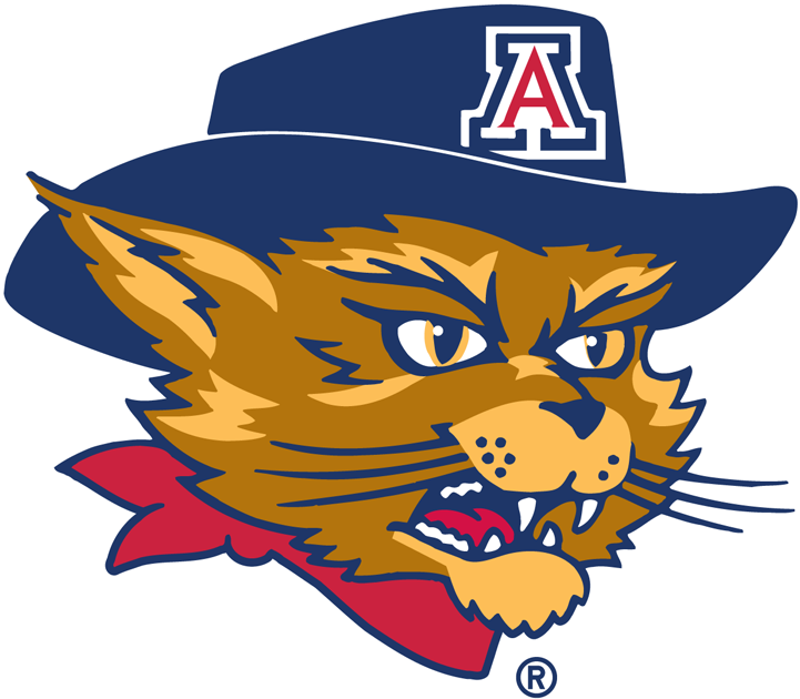 Arizona Wildcats 2003-Pres Mascot Logo v6 diy DTF decal sticker